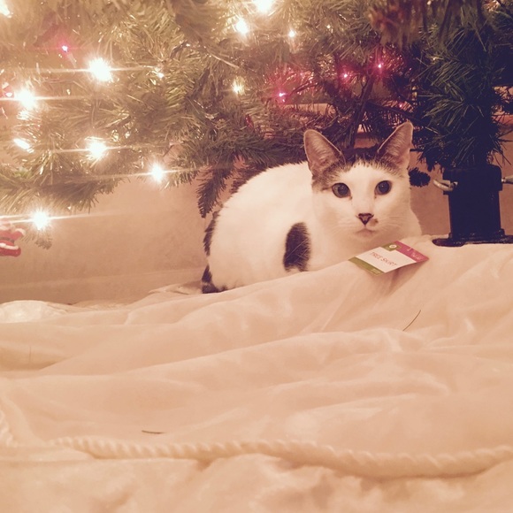 Meet your Posher, Jennifer - Picture 16 of 16